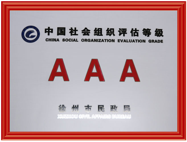 中国社会组织评估等级